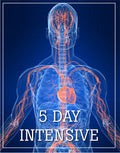 Five Day Intensive, Tampa, FL, August 11-15, 2027