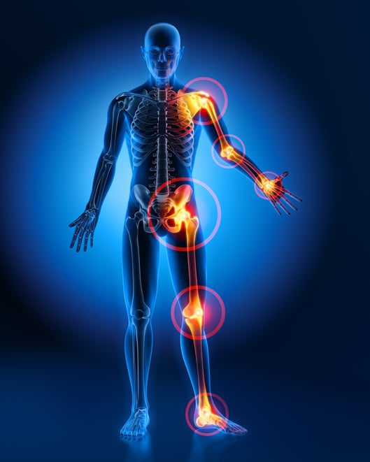 Quick Manual Therapy Techniques for Musculoskeletal Pain Relief February 27-28, 2027 Anamosa, Iowa