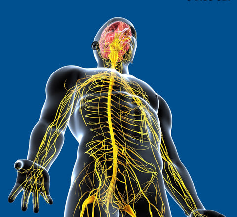 Eliminating Multiple Nerve Compression Patterns Combination, Dallas TX February 14-15, 2026