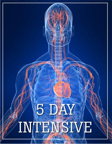 Five Day Intensive, Dallas/Fort Worth, TEXAS October 23-27, 2024